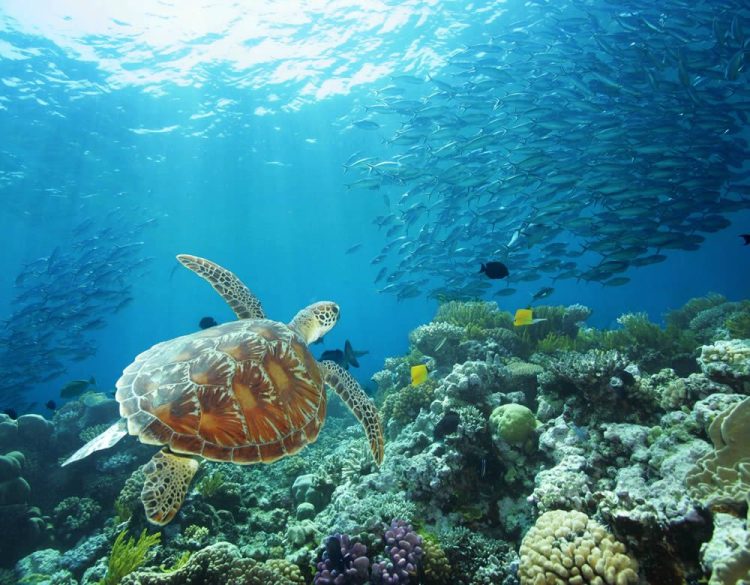 Queensland