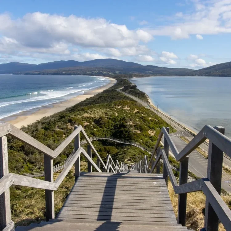 Bruny Island and a nocturnal walk