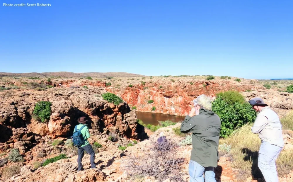 Whale Sharks & Ningaloo Coast Wildlife