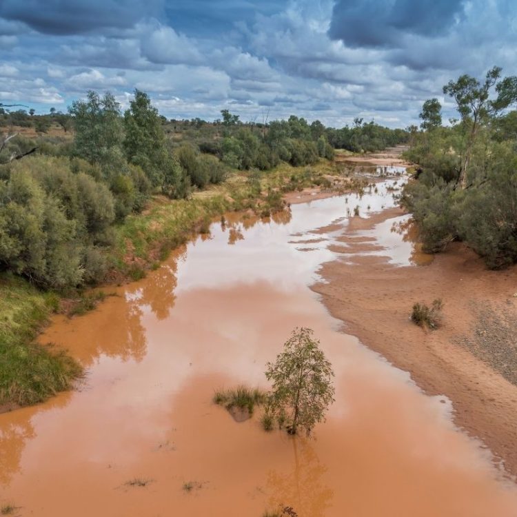 Tnorala and the Finke River bush camp