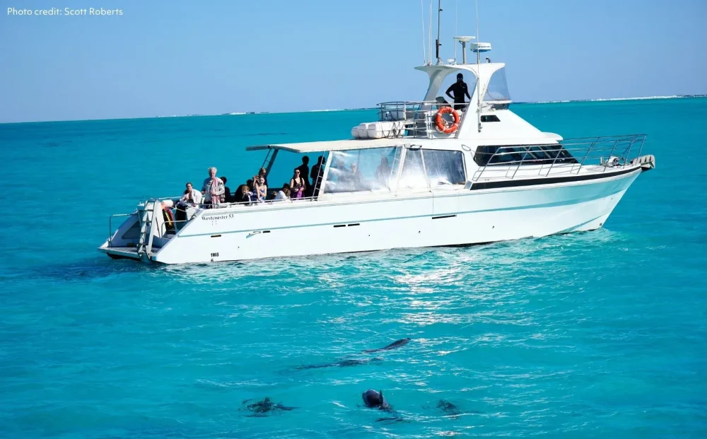 Whale Sharks & Ningaloo Coast Wildlife