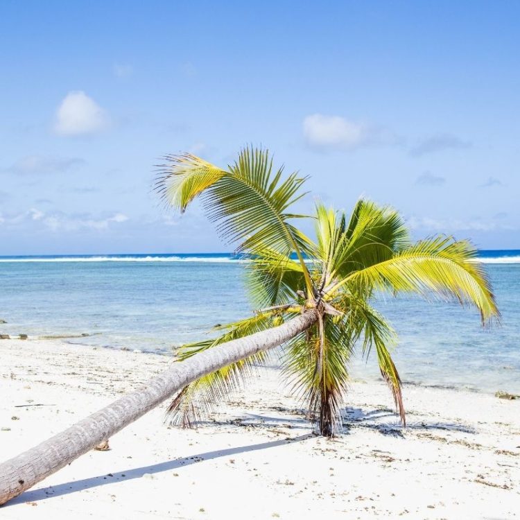Farewell the Indian Ocean islands