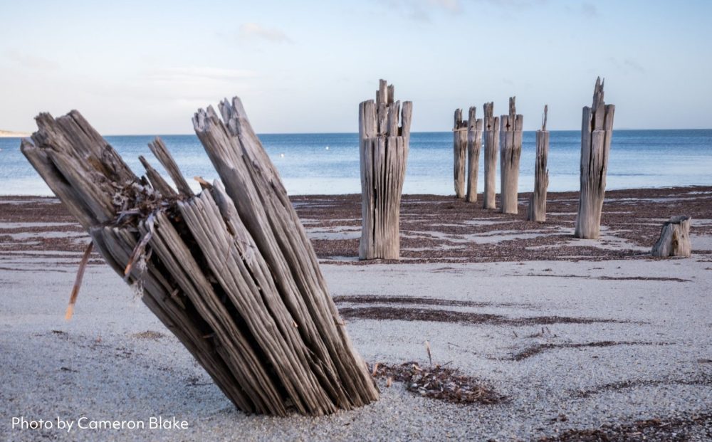Flinders Island Photography Workshop