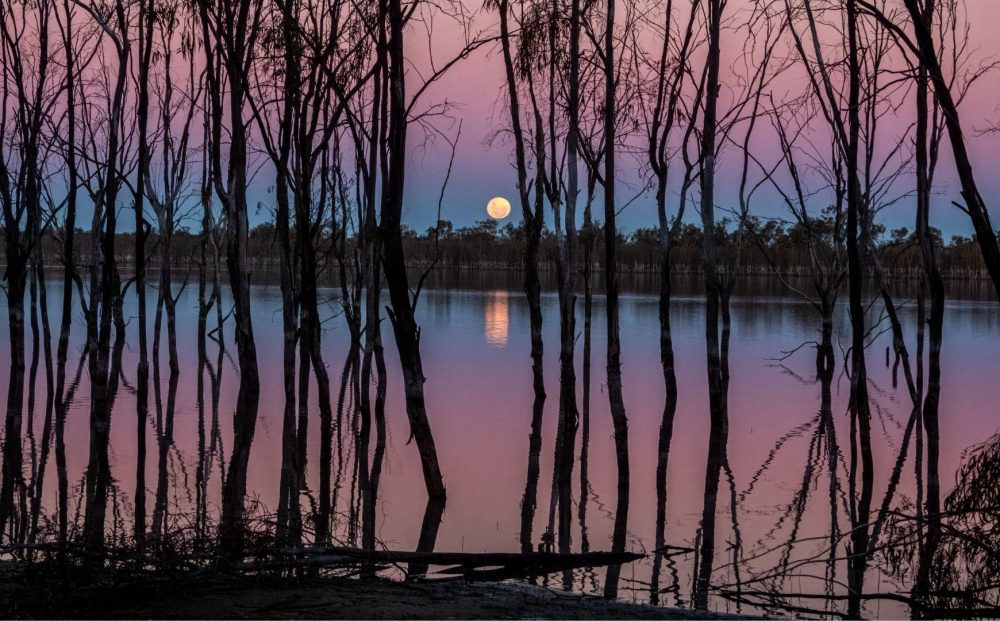 Mungo Outback Conservation Journey