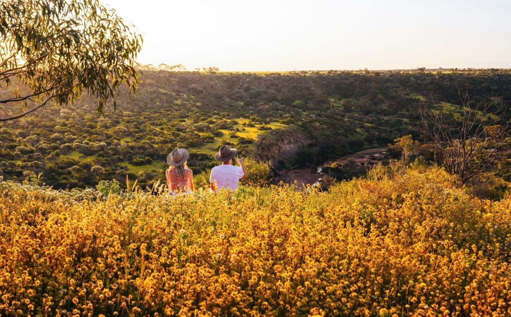 Coalseam Conservation Park