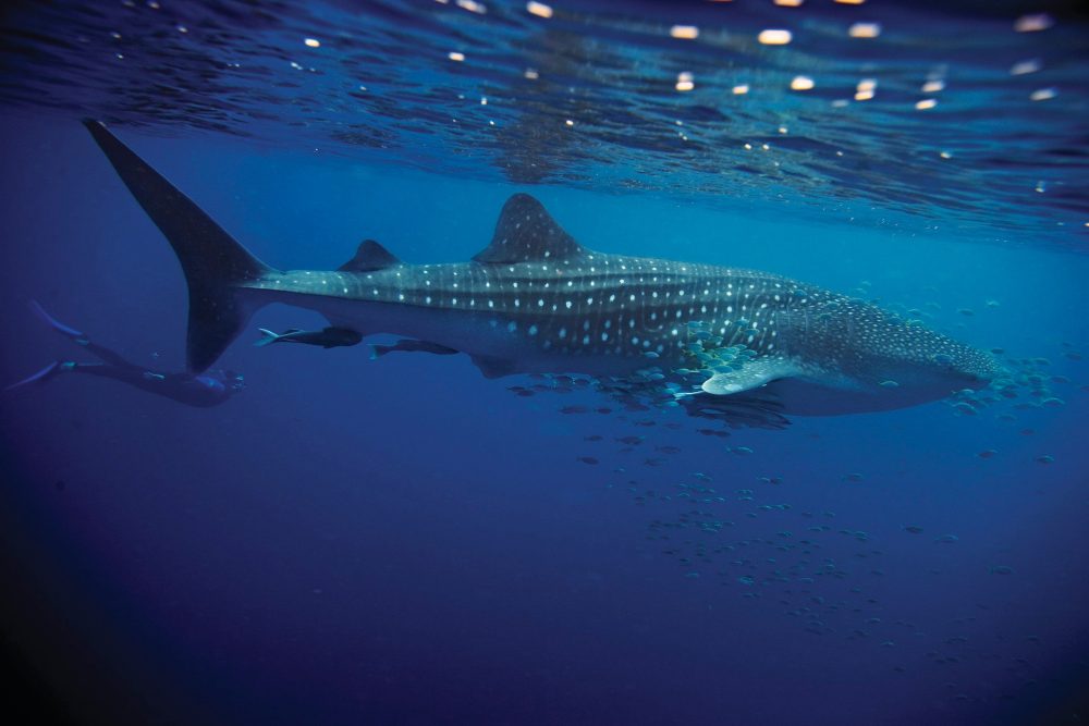 Western Australia