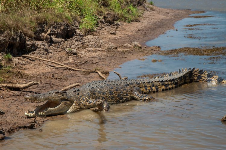 Northern Territory