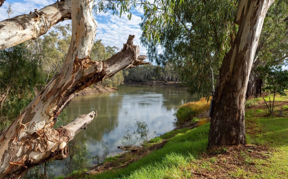 Mungo Outback Conservation Journey
