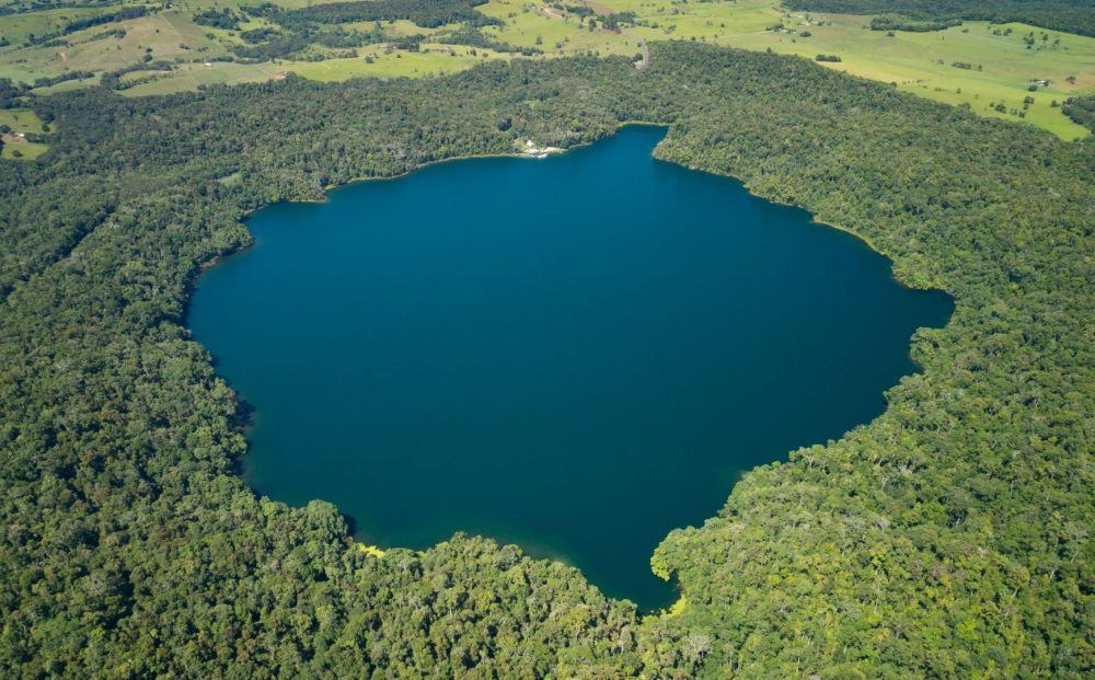 Private Tour: Daintree Nature & Wildlife Safari