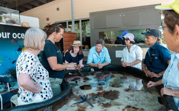 Visitors interacting with marine biologists at an educational touch tank tank