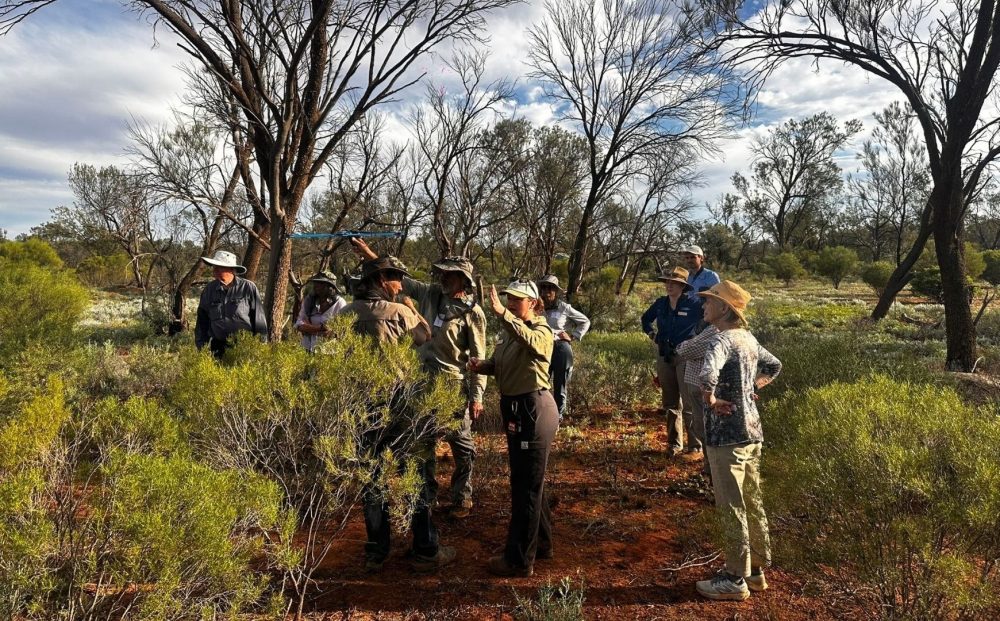 Rewilding Scotia with the Australian Wildlife Conservancy