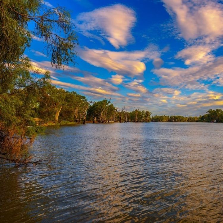 Arrival in Mildura