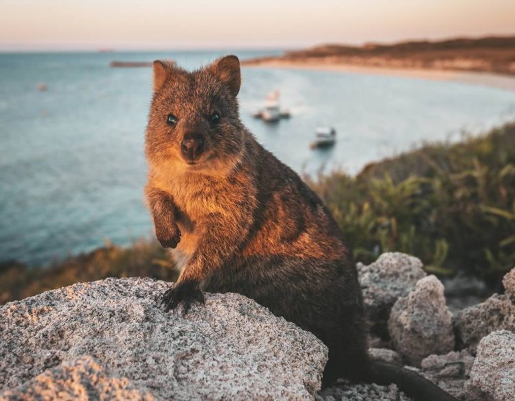 Western Australia