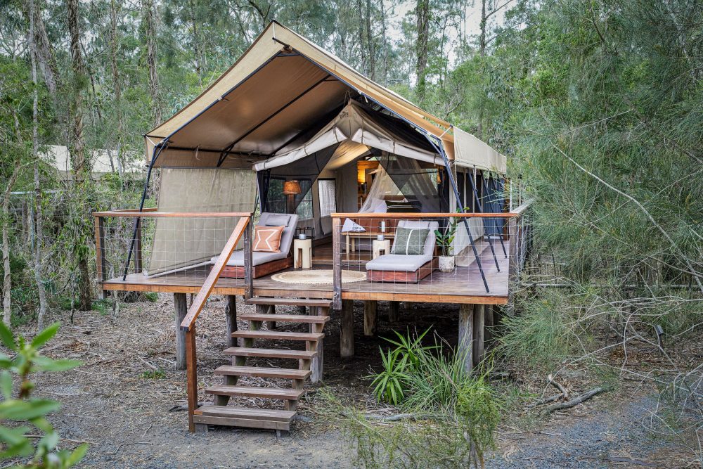 Private Tour: Sydney to Melbourne Nature & Wildlife Adventure