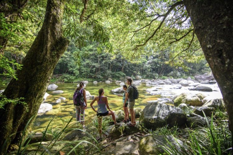 Private Tour: Daintree Nature & Wildlife Safari