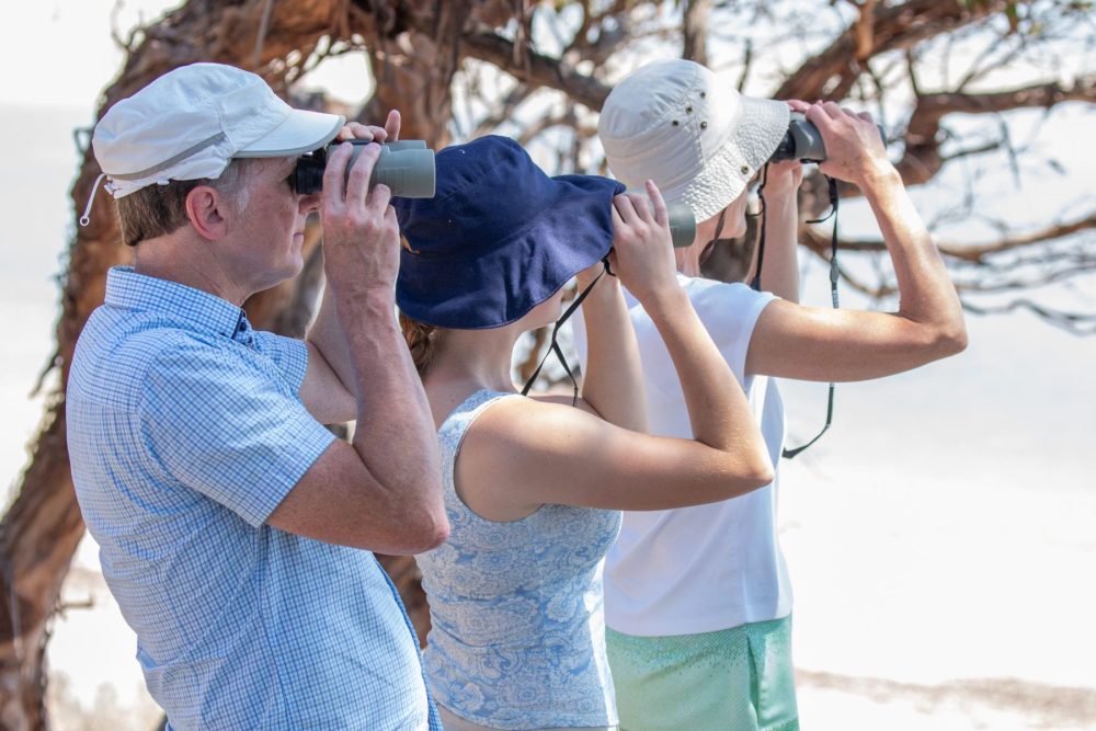 Private Tour: Southern Eyre Peninsula Bird Watching