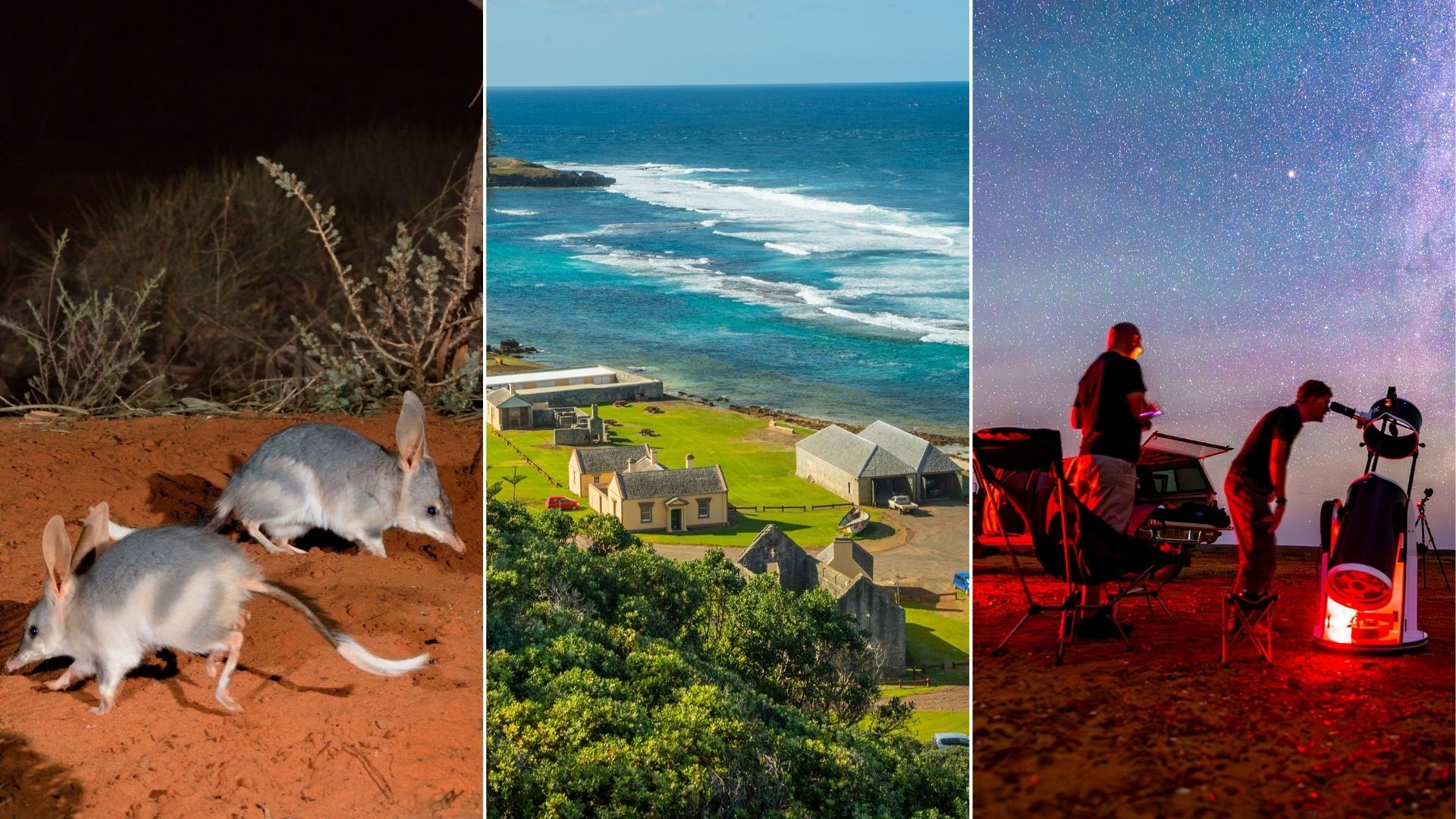 10 new tours to book for 2026