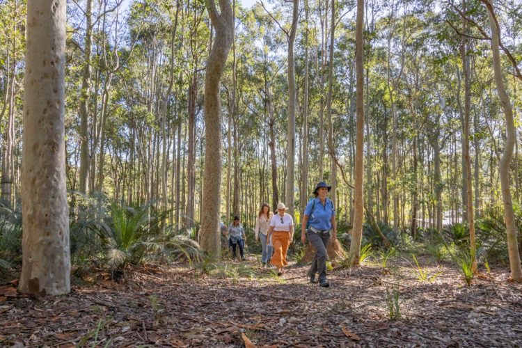 Private Tour: Sydney to Melbourne Nature & Wildlife Adventure