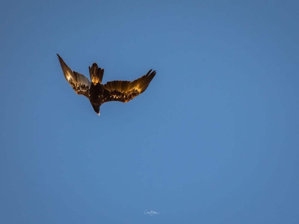 Flinders Ranges Photography Safari