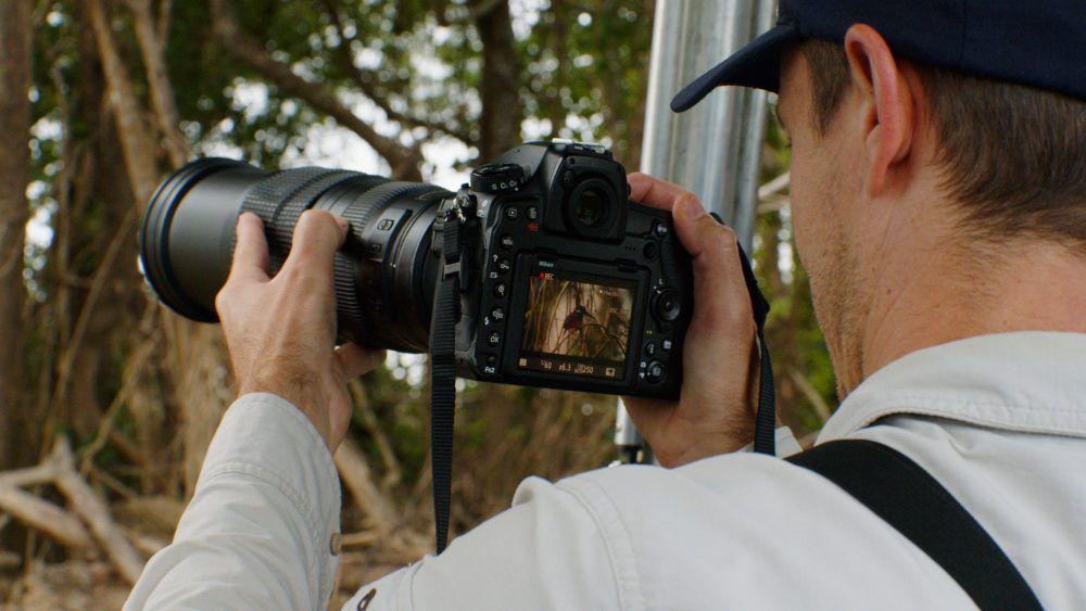 Wildlife Photography Safari in Far North Queensland