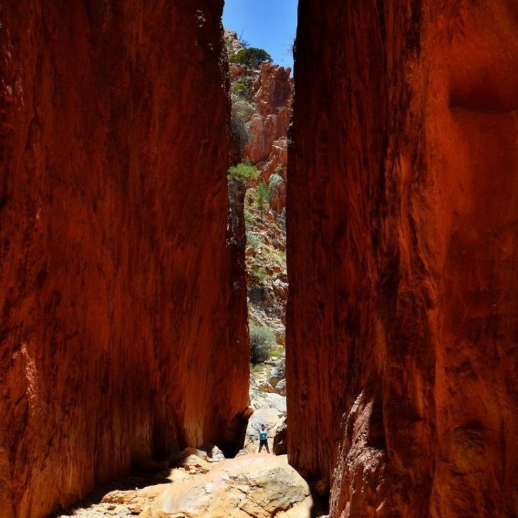 Simpsons Gap, Atwatye / Standley Chasm and Ormiston Gorge