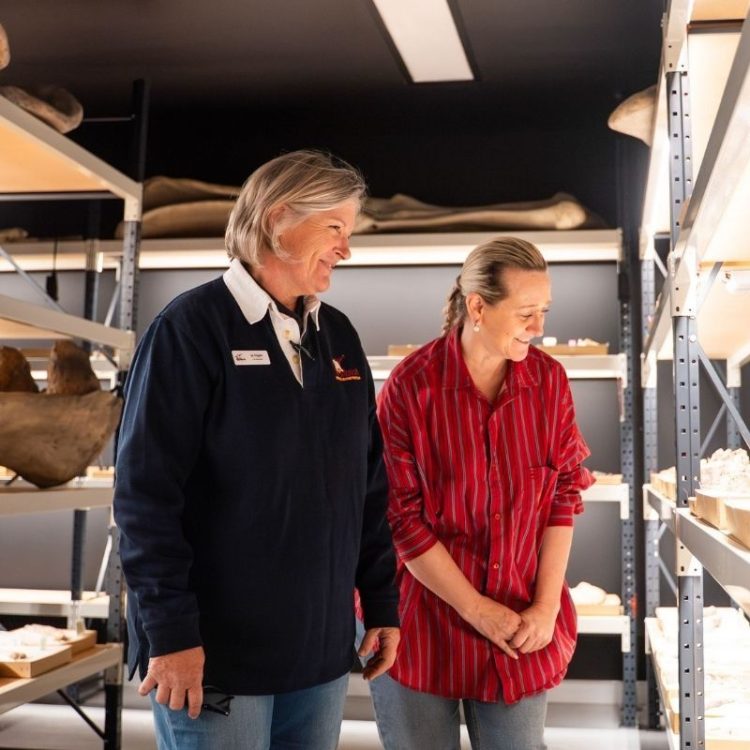 Museum tour and preparation lab