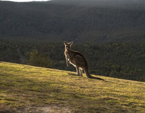 Australian Capital Territory