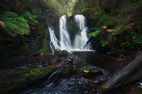 Tasmania