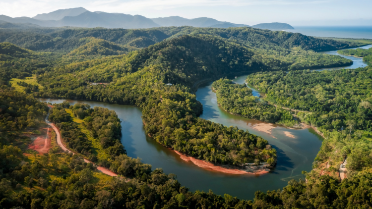 Cooktown to the Daintree: On Country with Traditional Owners